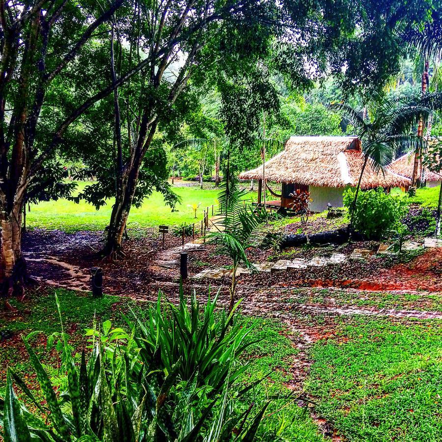 La Habana Amazon Reserve Puerto Maldonado Dış mekan fotoğraf